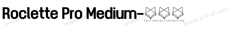 Roclette Pro Medium字体转换
